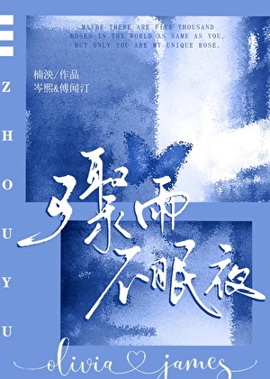 骤雨不眠夜